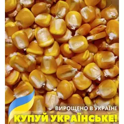 Семена кукурузы Манифик, фр. Стандарт, ФАО-300