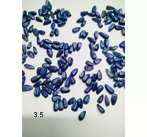 Семена ультрараннего сортового подсолнечника СУР, протравленные, 75-80 дней