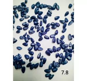 Семена ультрараннего сортового подсолнечника СУР, протравленные, 75-80 дней (фракция 7.5), урожай 2021 года