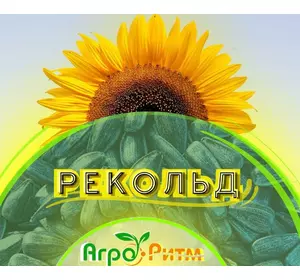 Насіння соняшника Рекольд, під гербіцид Гранстар 50 гр., урожай - 2023, фр. Преміум